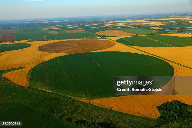 patchwork landscape, croatia, slavonia, europe - crop circles stock pictures, royalty-free photos & images