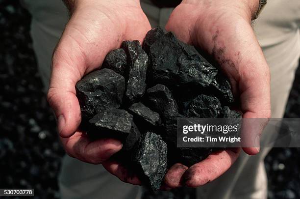 holding a handful of coal - coal stock pictures, royalty-free photos & images