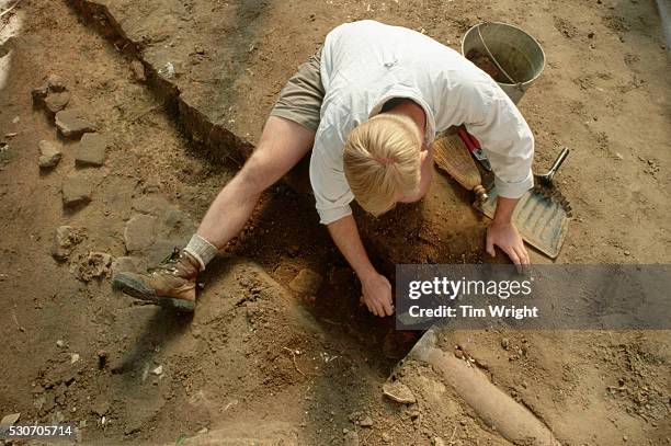 an archeologist digging in the dirt - archaeologist stock pictures, royalty-free photos & images