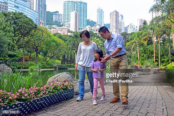 family day at the park, hong kong park, china, asia - hong kong family stockfoto's en -beelden