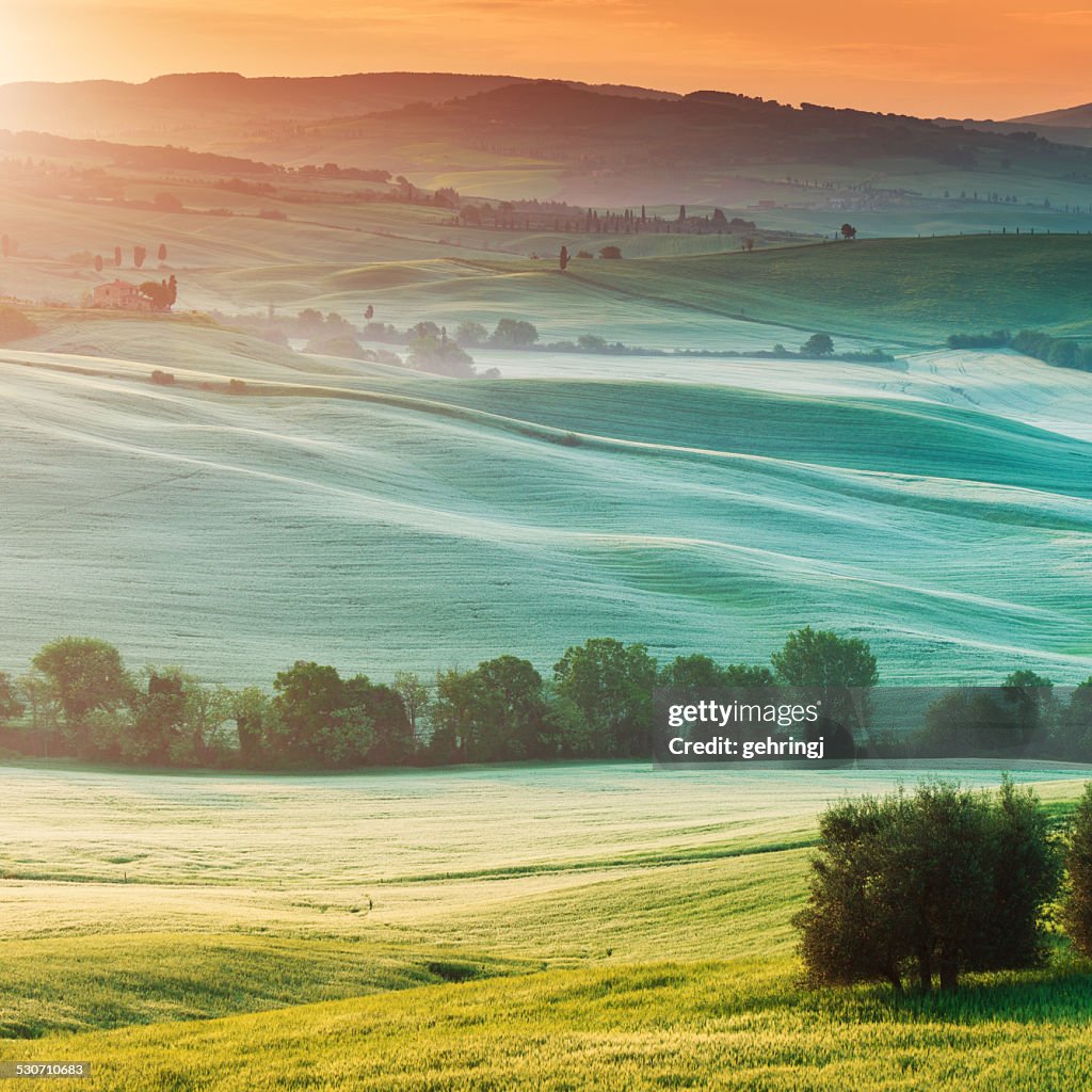 Typical landscape from Tuscany