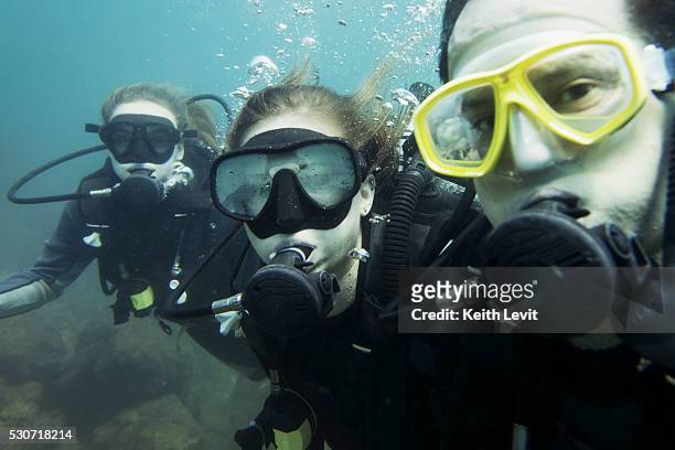 scuba divers posing underwater; ixtapa-zihuatanejo, guerrero, mexico - scuba diving girl 個照片及圖片檔