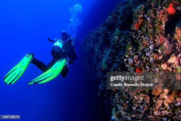 diving, adriatic sea, croatia, europe - scuba regulator stock pictures, royalty-free photos & images