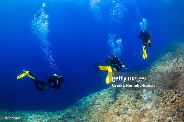 diving, adriatic sea, croatia, europe - scuba regulator stock pictures, royalty-free photos & images