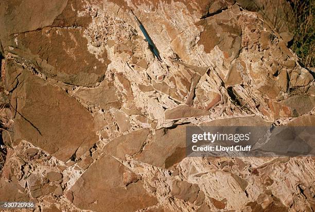 breccia found in a fault zone - breccia stock pictures, royalty-free photos & images