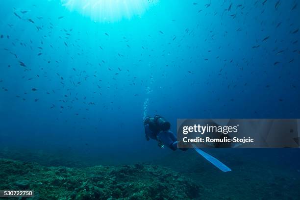 diving, adriatic sea, croatia, europe - scuba regulator stock pictures, royalty-free photos & images