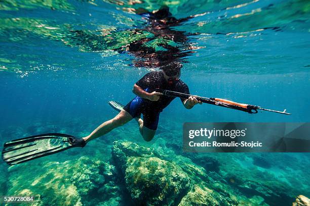 Hapoons Fishing Spear Gun Photos and Premium High Res Pictures - Getty Images