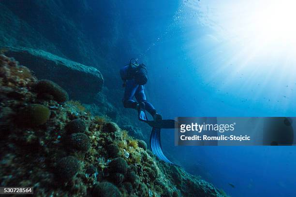 diving, sunlight, adriatic sea, croatia, europe - scuba regulator stock pictures, royalty-free photos & images