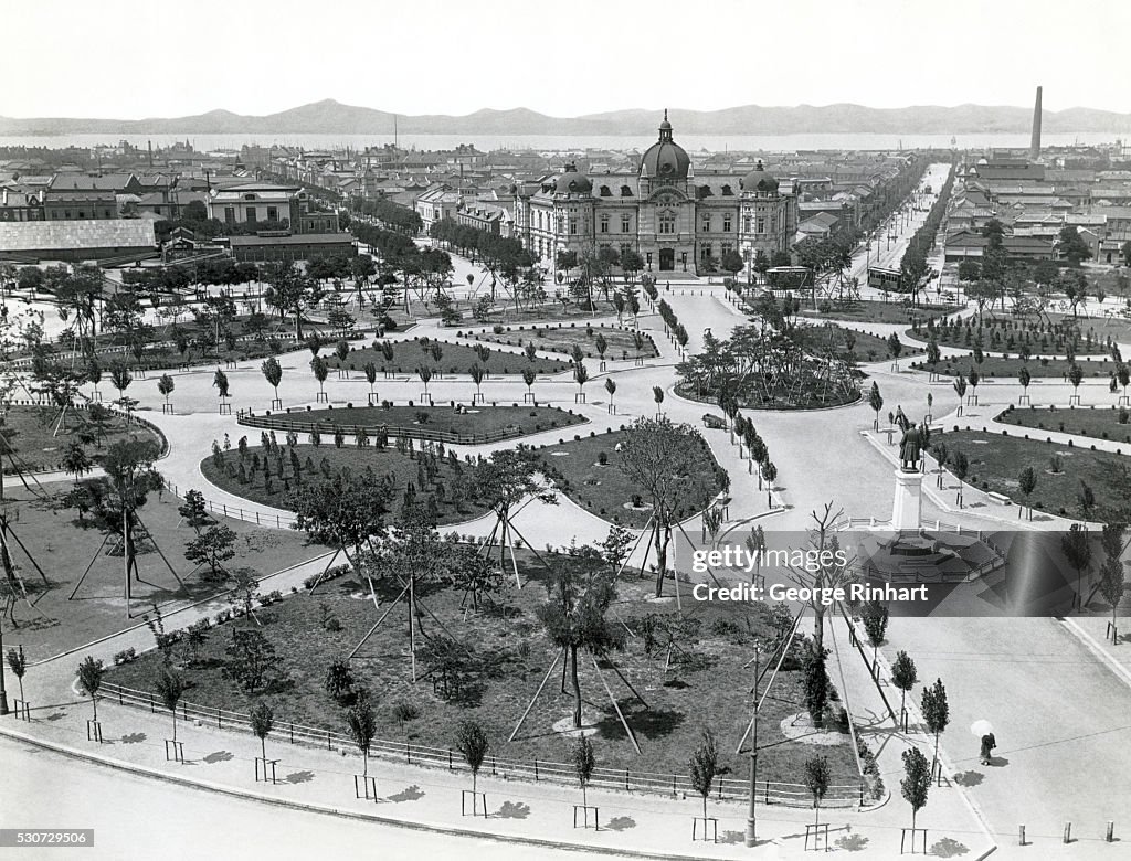 Plaza With Pathways And Propped Trees