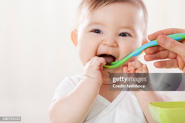 feeding - baby food stock pictures, royalty-free photos & images