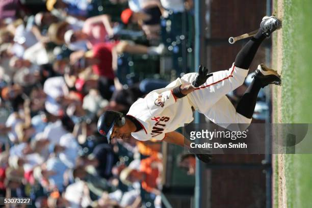 June 12: Jason Ellison of the San Francisco Giants bats during the game against the Cleveland Indians at SBC Park on June 12, 2005 in San Francisco,...