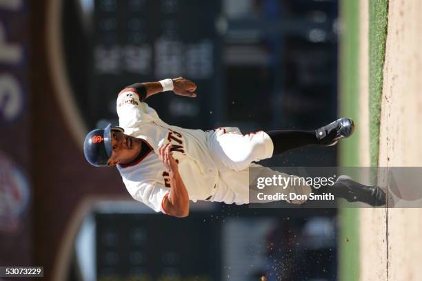 June 12: Jason Ellison of the San Francisco Giants during the game against the Cleveland Indians at SBC Park on June 12, 2005 in San Francisco,...