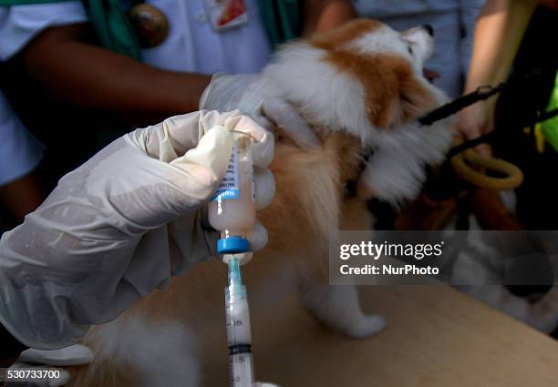 17 Department Of Animal Husbandry And Fishery Photos and Premium High Res Pictures - Getty Images 17 Department Of Animal Husbandry And Fishery Photos and Premium High Res Pictures - Getty Images