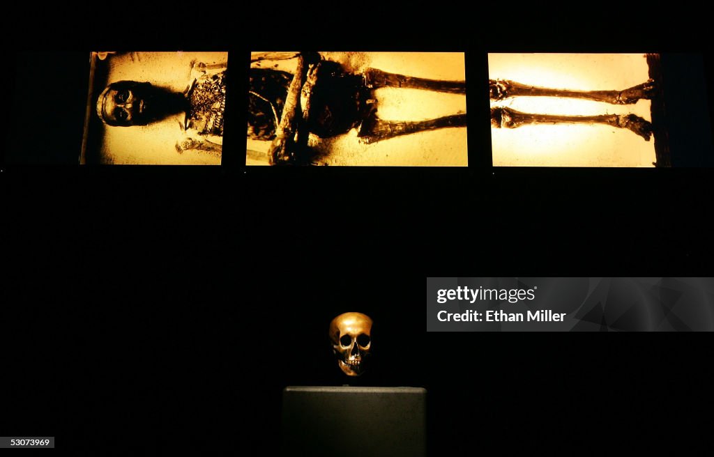 "Tutankhamun And The Golden Age Of The Pharaohs" Exhibit Opening