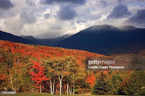 new hampshire foliage in the white mountains - ニューハンプシャー州 ワシントン山 ストックフォトと画像