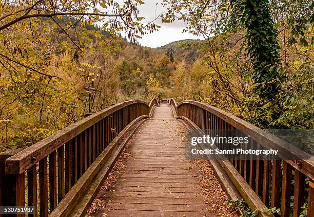 bridge - castellfollit de la roca fotografías e imágenes de stock