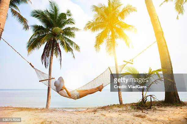 beach hammock - beach holiday stock pictures, royalty-free photos & images