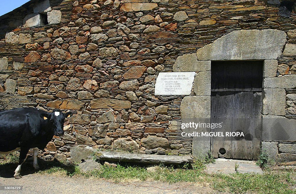TO GO WITH AFP STORY 'GALICIAN HERITAGE