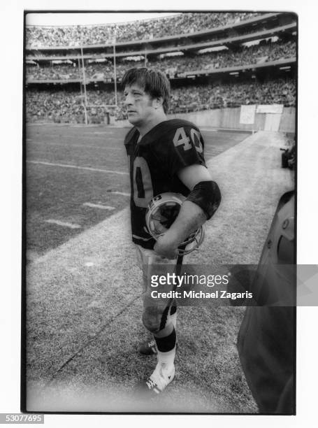 Pete Banaszak of the Oakland Raiders stands on the sidelines during the game against the Atlanta Falcons at the Oakland Alameda Coliseum on November...