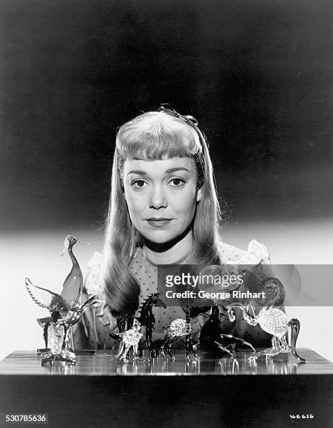 Jane Wyman starred as the timid and crippled girl in the film version of Tennessee Williams', "The Glass Menagerie." Directed by Irving Rapper and...