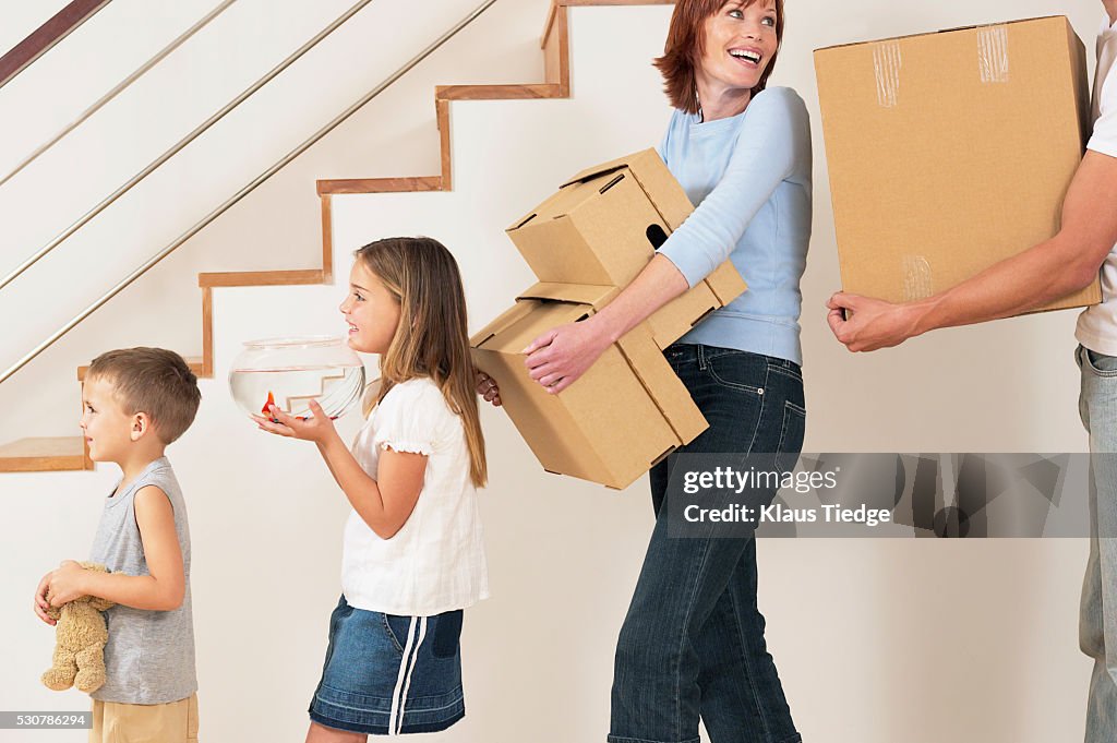 Family carrying boxes