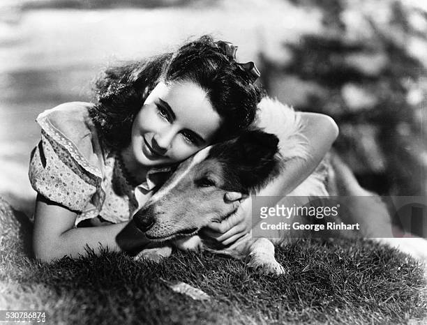 Actress Elizabeth Taylor as "Kathie Merrick" in a scene from the 1946 movie "The Courage of Lassie." undated photo circa 1940s.