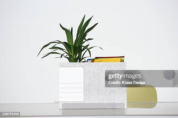 Empty Divided Box Empty Box Divided Photos and Premium High Res Pictures - Getty Images