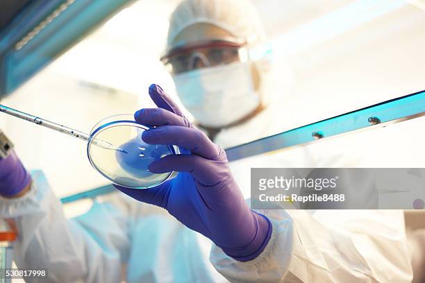 scientist in a clean room - virus organism stock pictures, royalty-free photos & images
