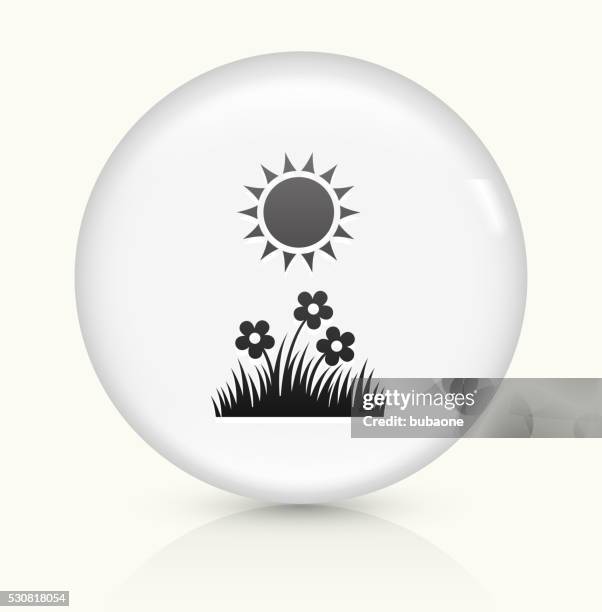 summer day icon on white round vector button - summer allergies stock illustrations
