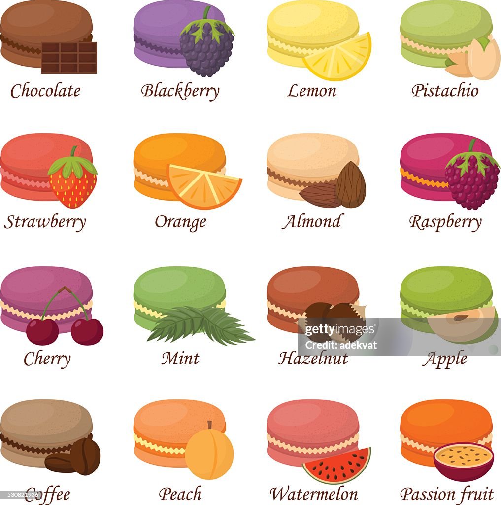 Macaron Reference Image Macaroons Vector Illustration High-Res Vector Graphic - Getty Images