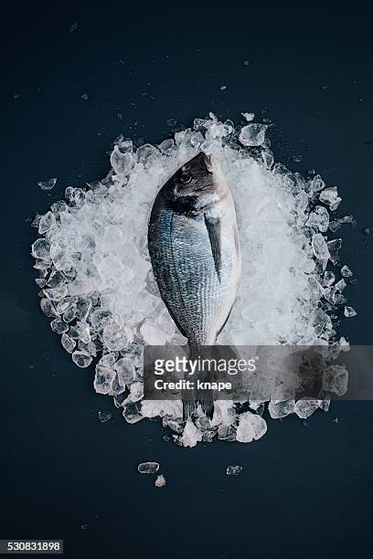 sea bream on ice seafood still life - crushed ice stock pictures, royalty-free photos & images