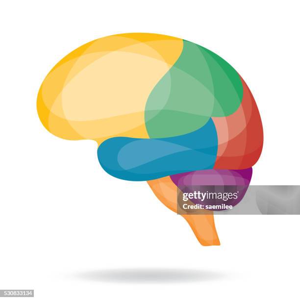geometric brain region - brain stem stock illustrations