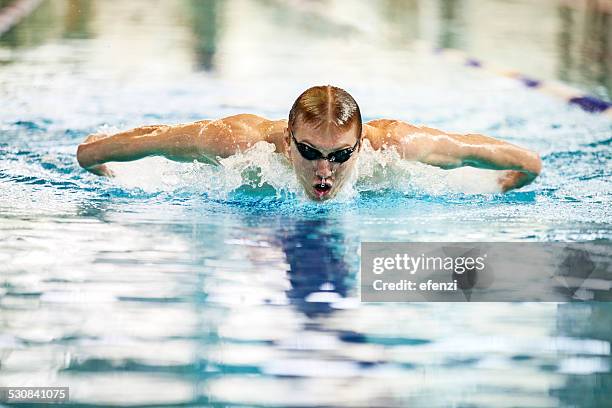 männliche schwimmer tut delfinschwimmen - butterfly stroke stock-fotos und bilder