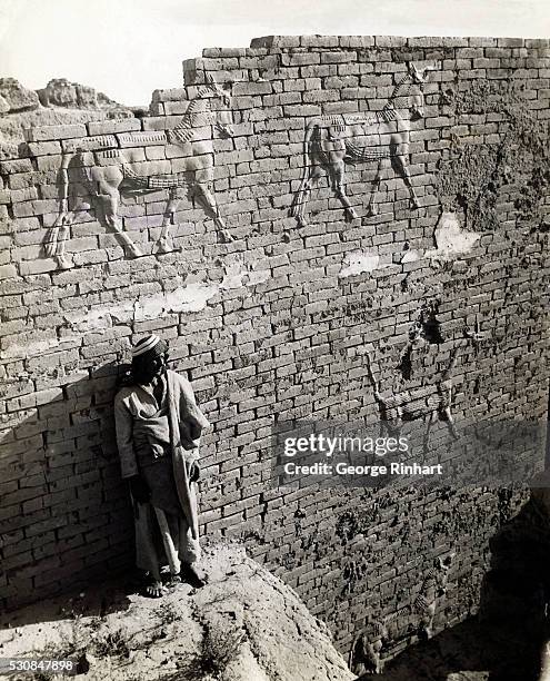 Reliefs of bull and dragon on a wall of Ishtar Gay Babylon. Ishtar was an important Goddess of Babylon, a goddess of the Earth and fertility.