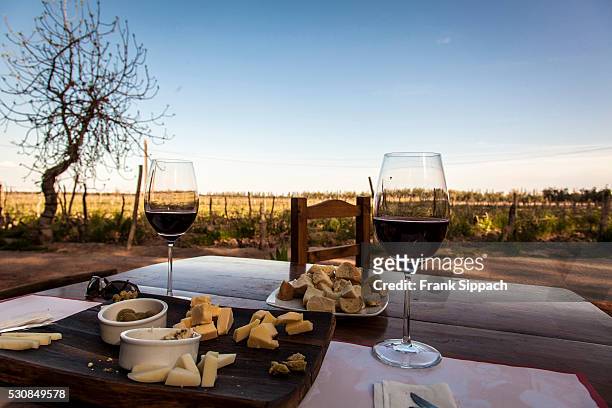 rustic snack and red wine outdoors, mendoza, argentina, south america - mendoza argentina fotografías e imágenes de stock