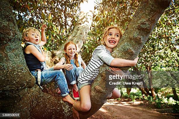 group of children climbing a tree - children only stock pictures, royalty-free photos & images