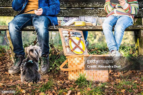 children having a picnic, dog is watching - alexandra dost stock-fotos und bilder
