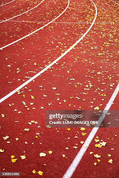 Leave Fall Track Racetrack Autumn Leaves Photos and Premium High Res Pictures - Getty Images