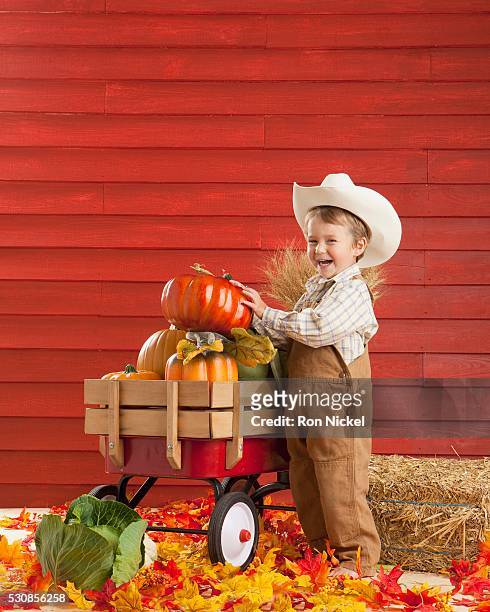 A Boy Dressed As A Farmer With A Wagon Full Of Produce Three Hills Alberta  Canada Foto de stock - Getty Images