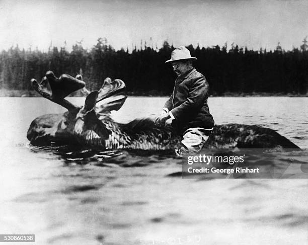 Theodore Roosevelt is shown riding a moose. Collaged photograph, undated.