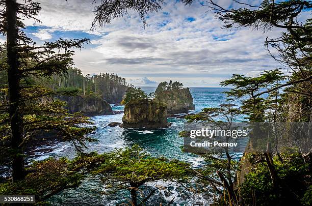 cape flattery - cape flattery 個照片及圖片檔