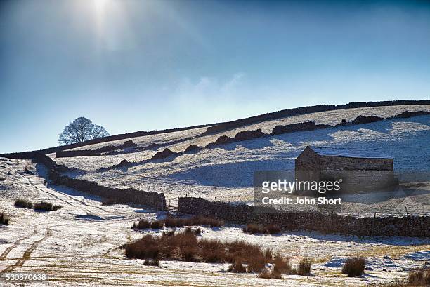 snowy field; yorkshire dales, england - tool shed wall spaces stockfoto's en -beelden