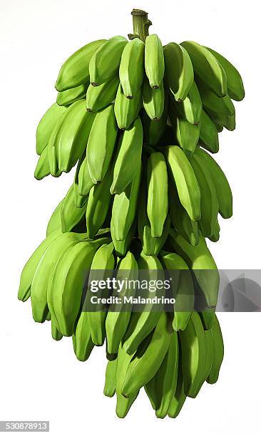 green plantains - plantain stock pictures, royalty-free photos & images