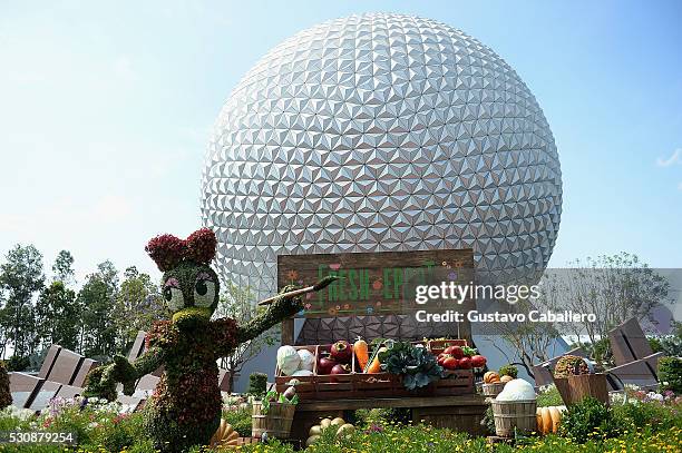 General view of Epcot International Flower And Garden Festival at Epcot Center at Walt Disney World on May 11, 2016 in Orlando, Florida.