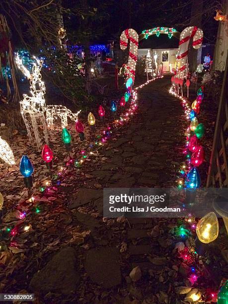Christmas Lights, Deer And Candy Cane Lights Glowing On Pathway So Santa Can Deliver To Delaware