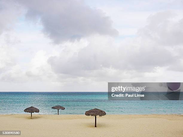 three palapas on a beach - linse photos et images de collection