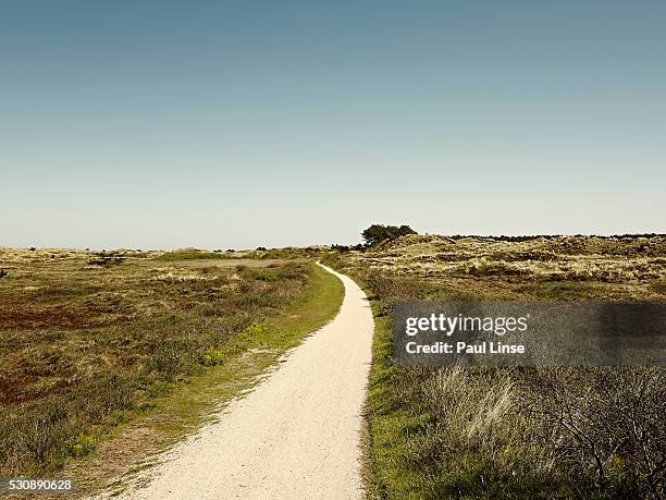 path over a hillside - linse photos et images de collection