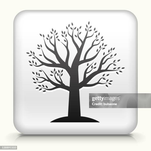 173 Tree Growth Timeline Stock Photos, High-Res Pictures, and Images ...