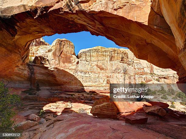 hickman bridge natural bridge - capitol reef national park, utah - capitol reef national park stock-fotos und bilder