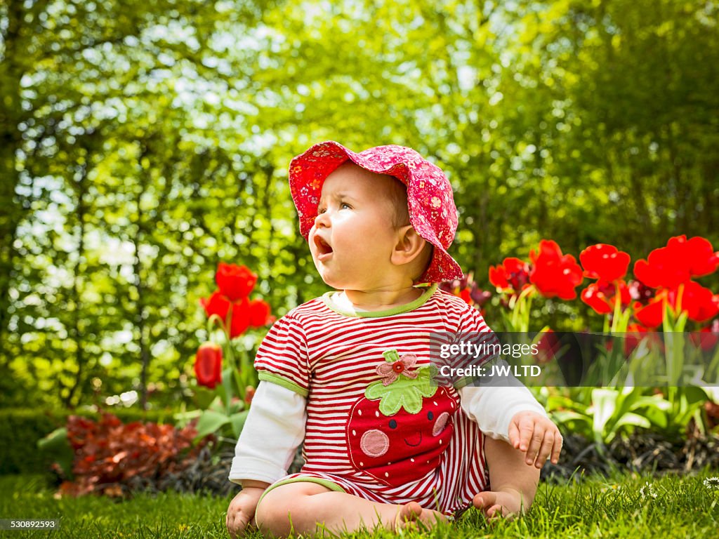 6-11 months, baby girl sitting in flower garden